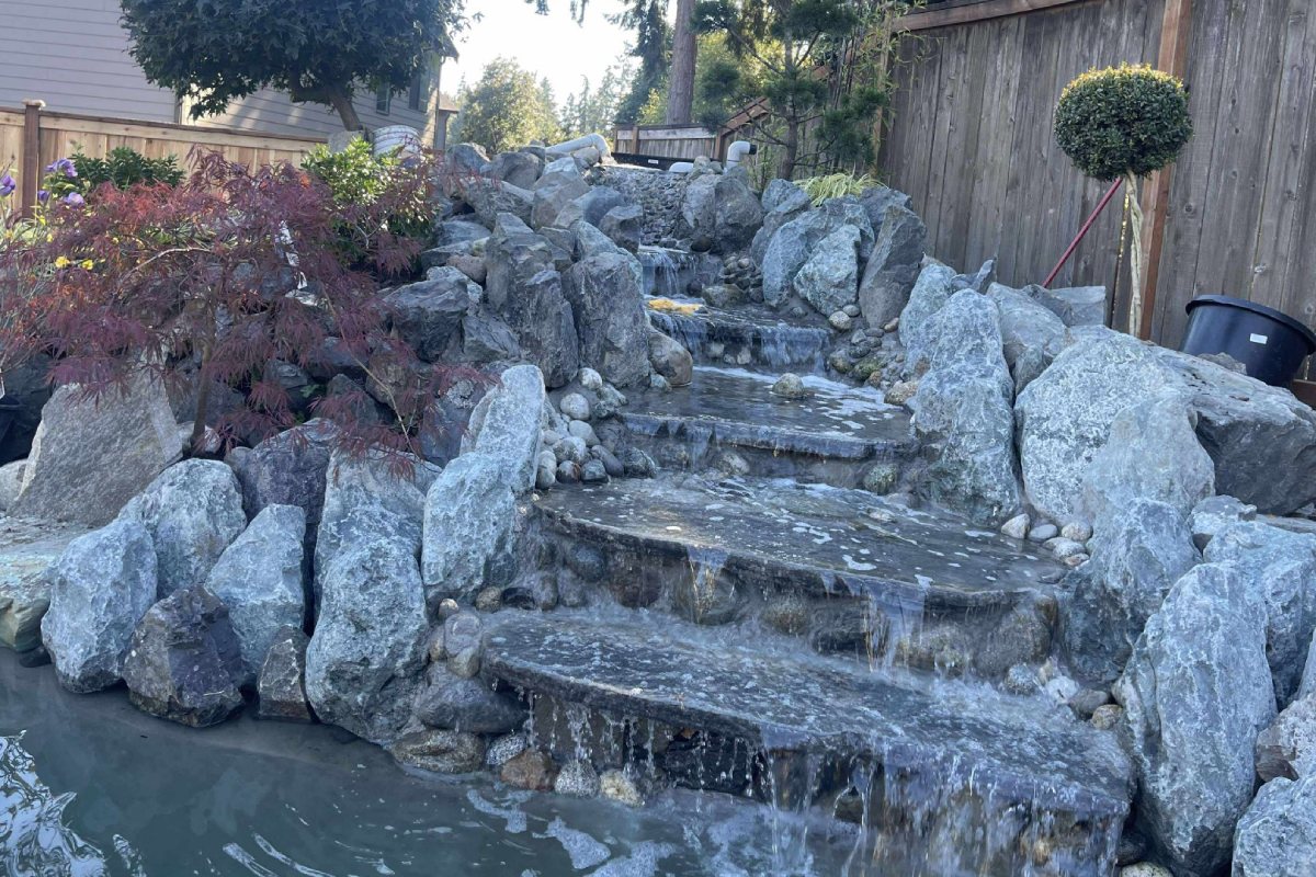 Custom Fish Pond