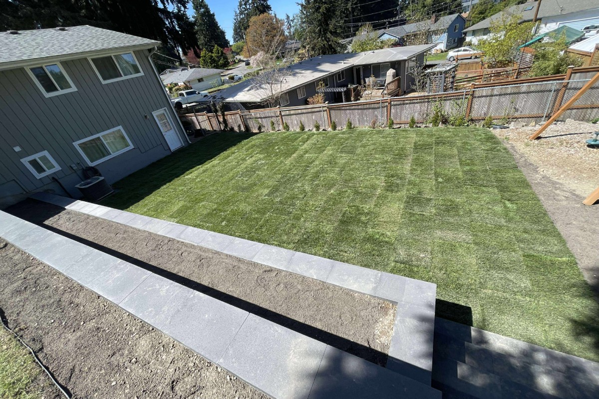 Yard Cleanup Service